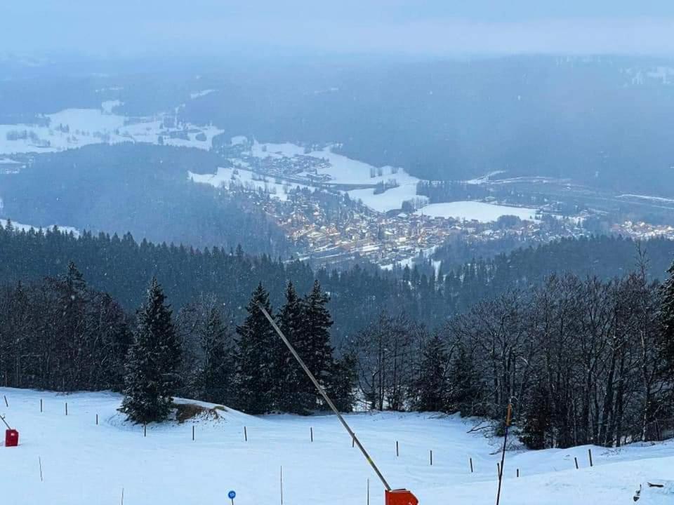 Place Royale Pour 10 A 12 Personnes A 30 Met Des Pistes De Ski Et Vtt Métabief Eksteriør bilde