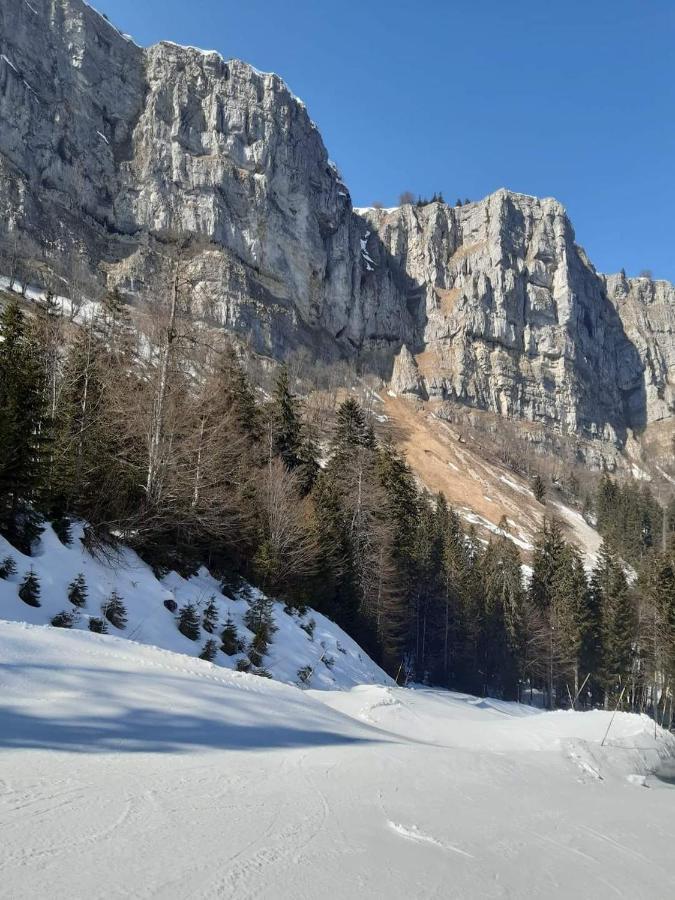 Place Royale Pour 10 A 12 Personnes A 30 Met Des Pistes De Ski Et Vtt Métabief Eksteriør bilde