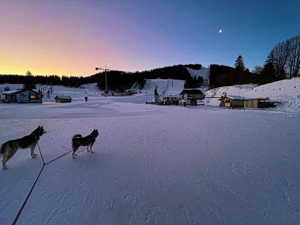 Place Royale Pour 10 A 12 Personnes A 30 Met Des Pistes De Ski Et Vtt Métabief Eksteriør bilde